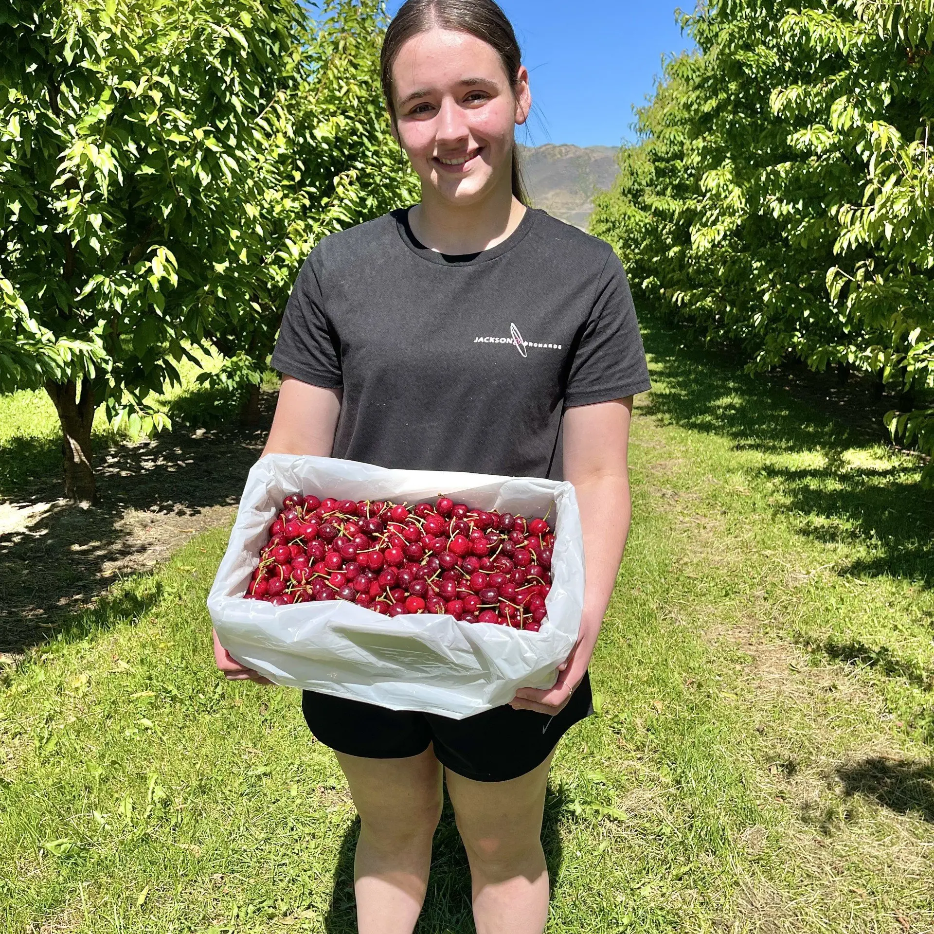Seasonal workers arrive in region
