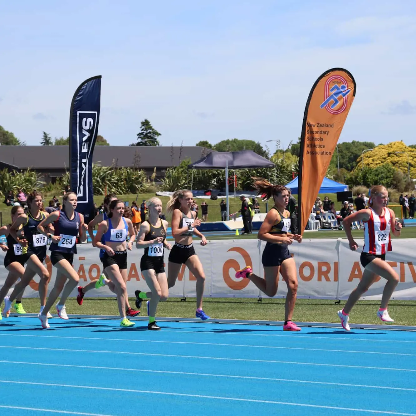 Nelson possible co-host as Christchurch eyes Comm Games