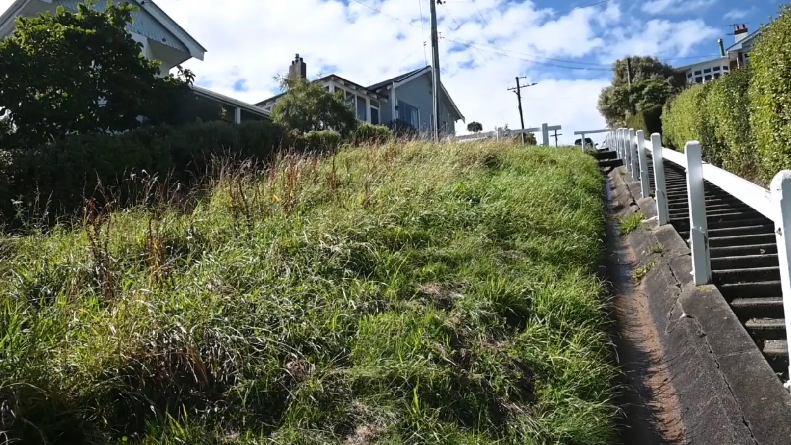 Trims to grass-cutting blamed on budgets & bees