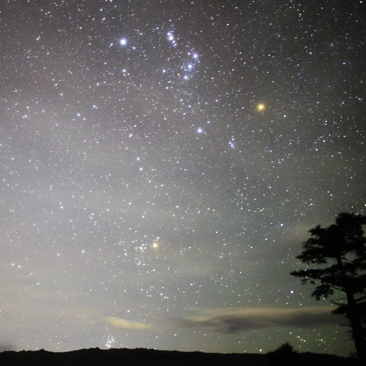 Hot tub astronomy in summer