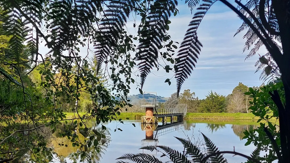 Grabbing a nap by a pristine pond