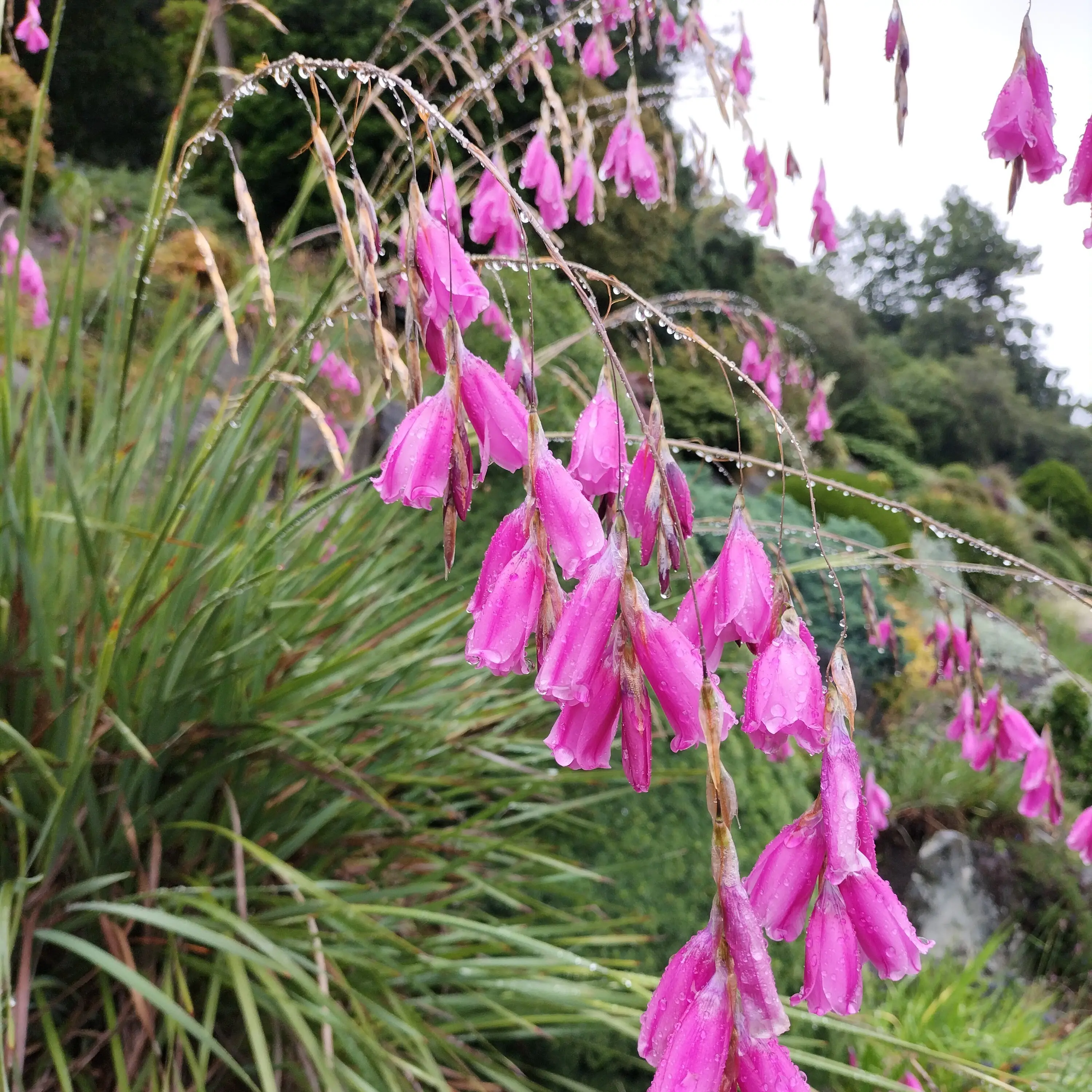 Bobbing gem adds drama to landscape