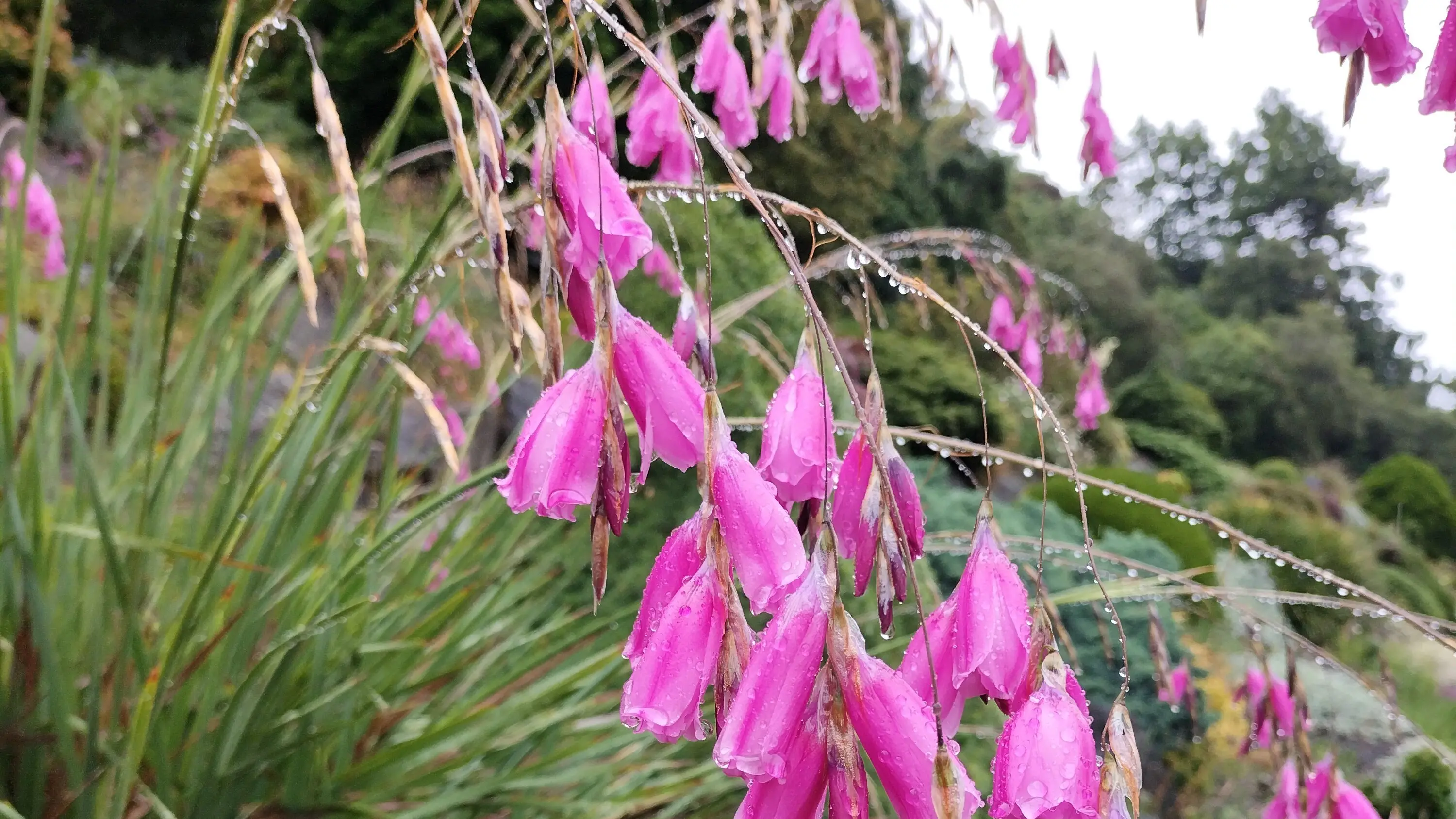 Bobbing gem adds drama to landscape