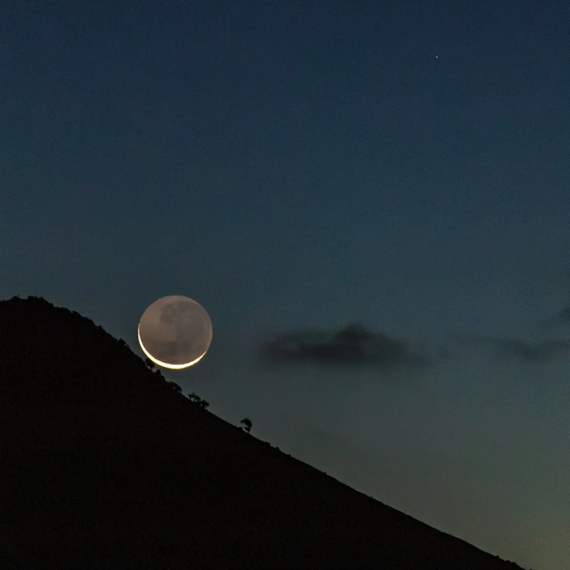 Warmed by the moon’s smile