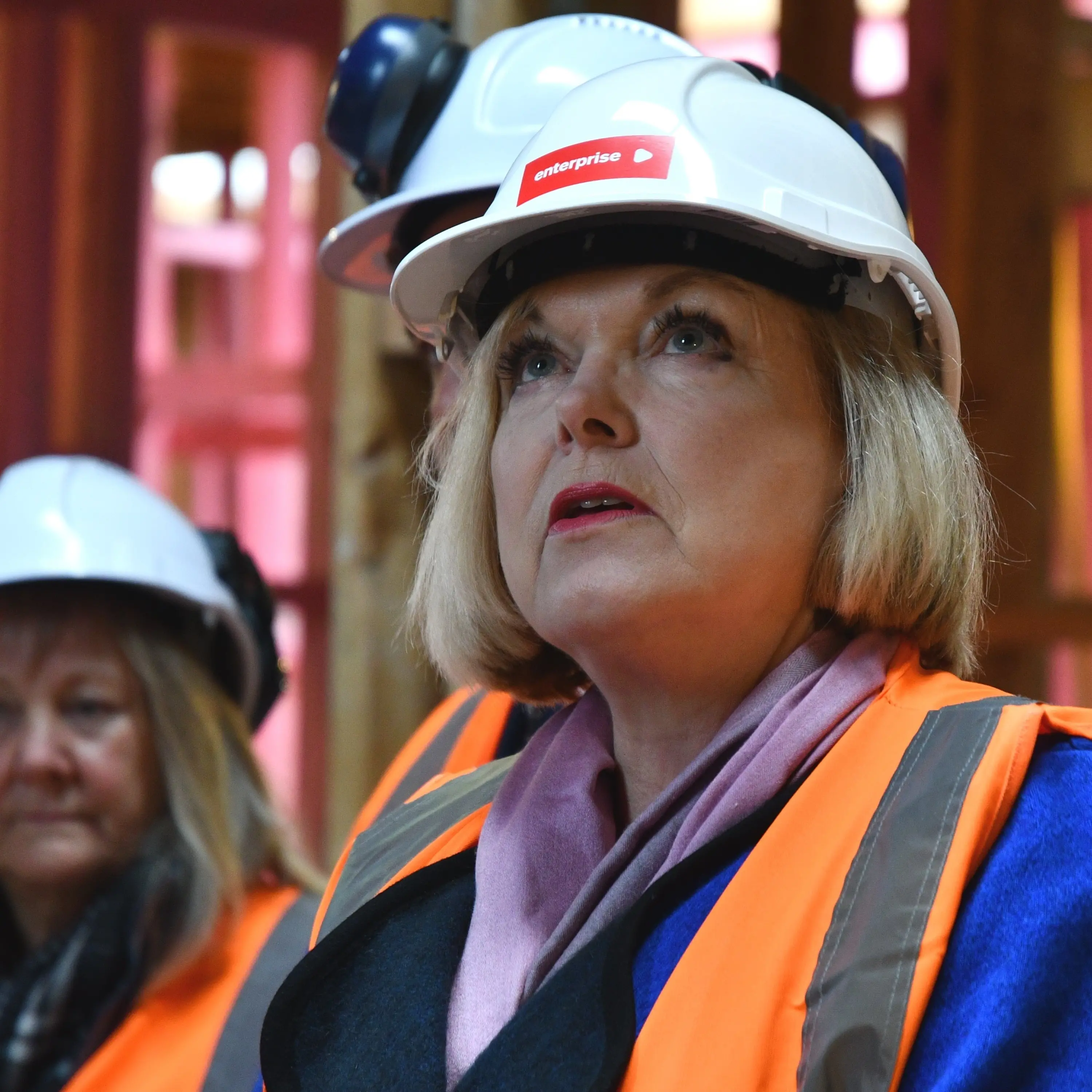 The secret diary of ... Judith Collins