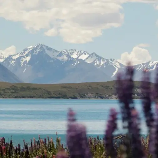 Another body found in Lake Tekapo
