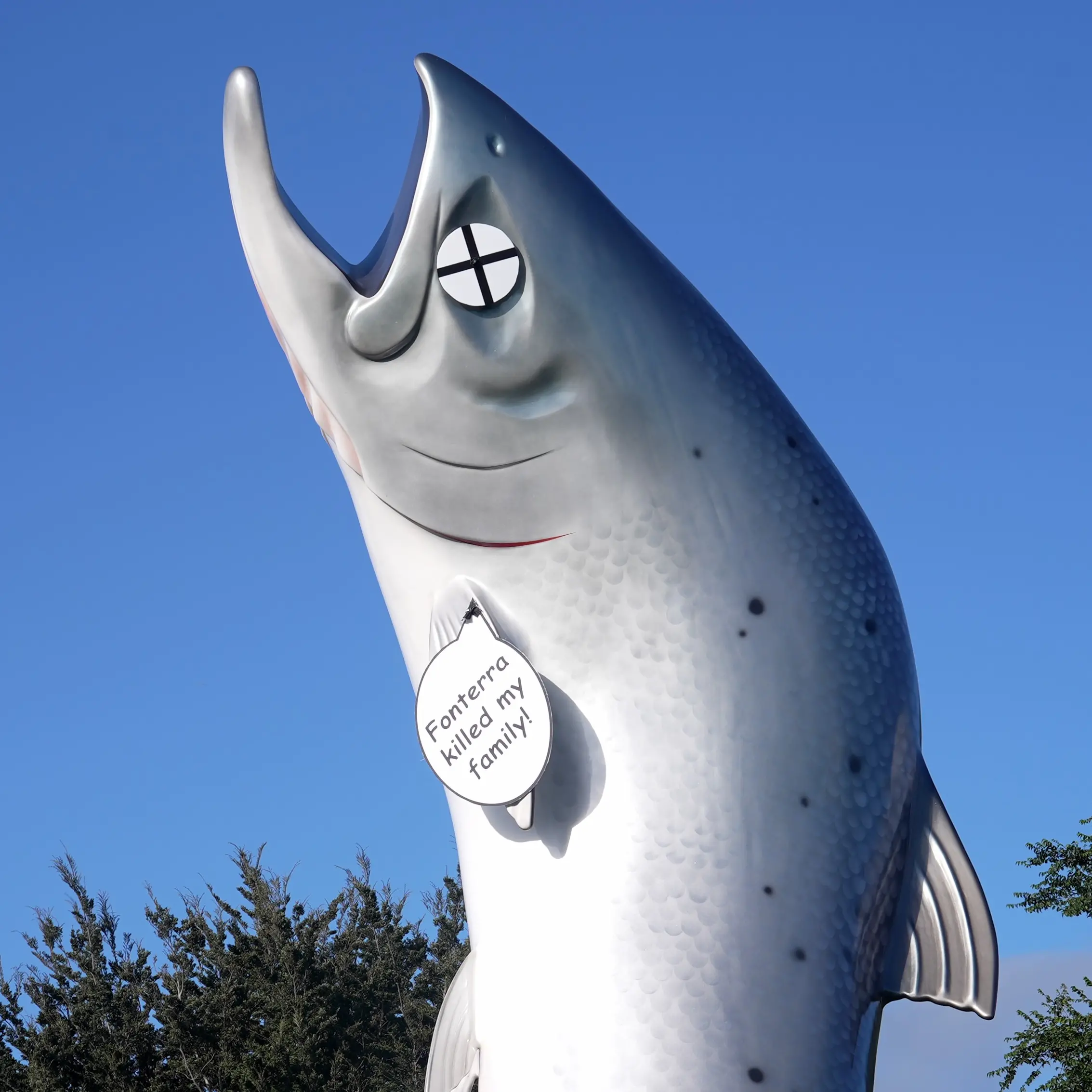 Reimbursement not ruled out for defacing Rakaia salmon statue