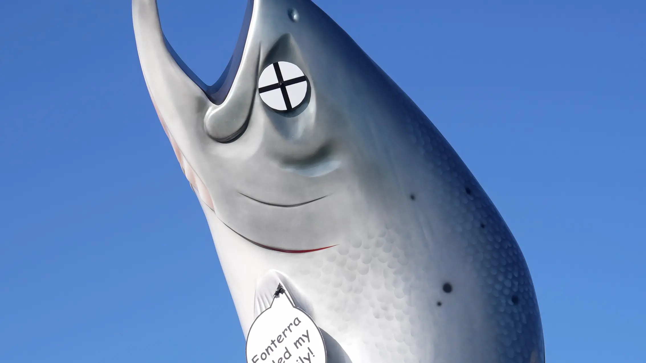 Reimbursement not ruled out for defacing Rakaia salmon statue