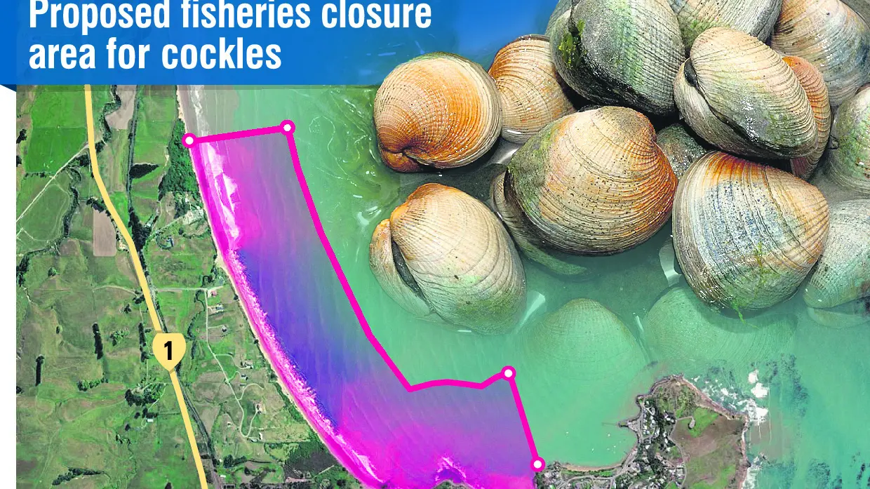Bid to ban taking cockles over fears group is 'gutting' fishery