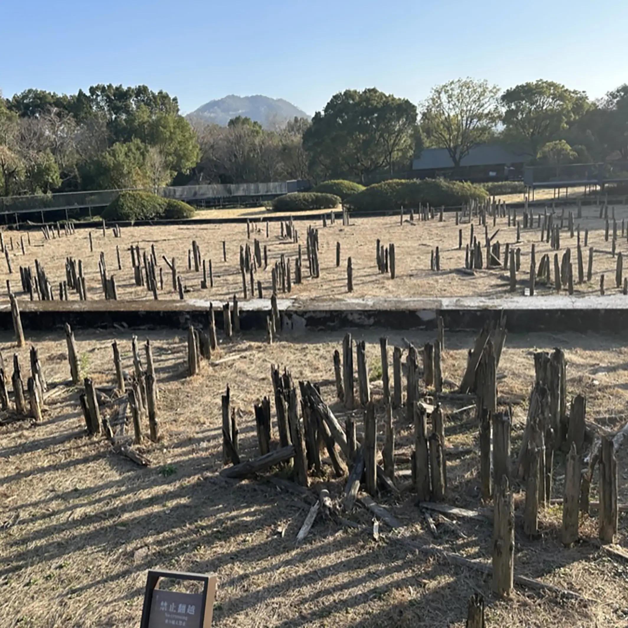 Virtual museums make finds more accessible
