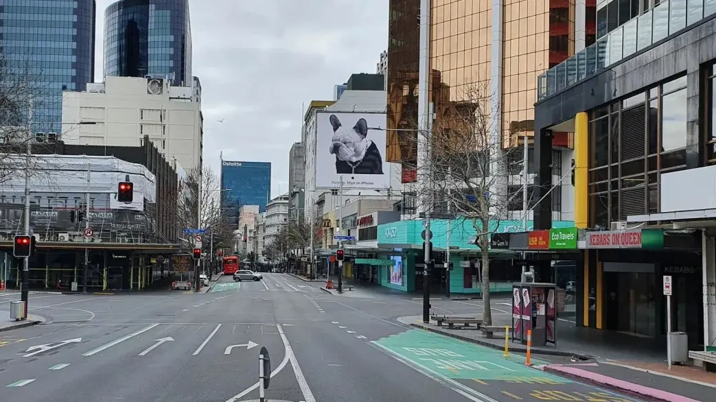 Covid response broadly effective but some flaws, inquiry finds