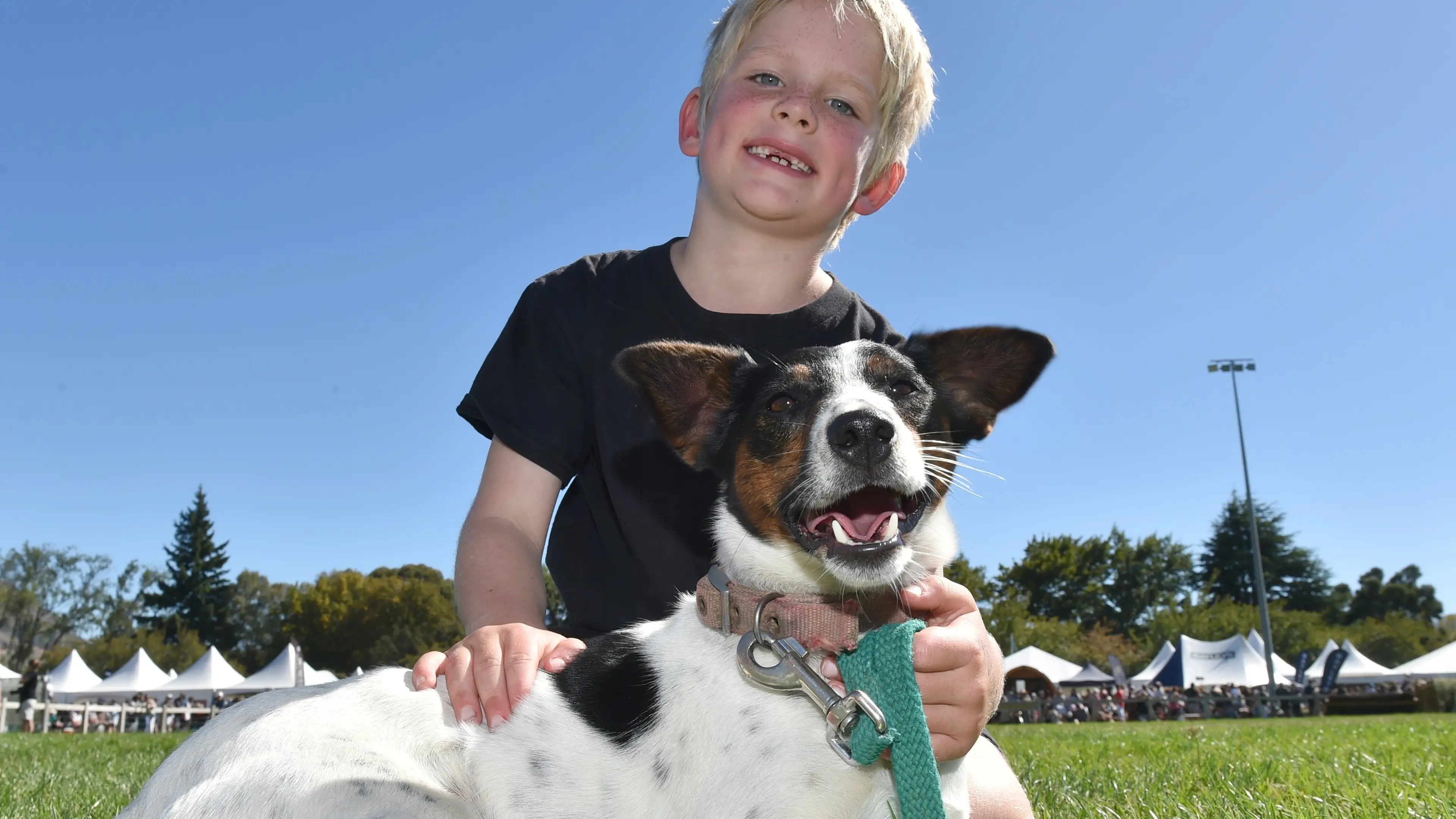 Fast dogs, strong people pull crowds