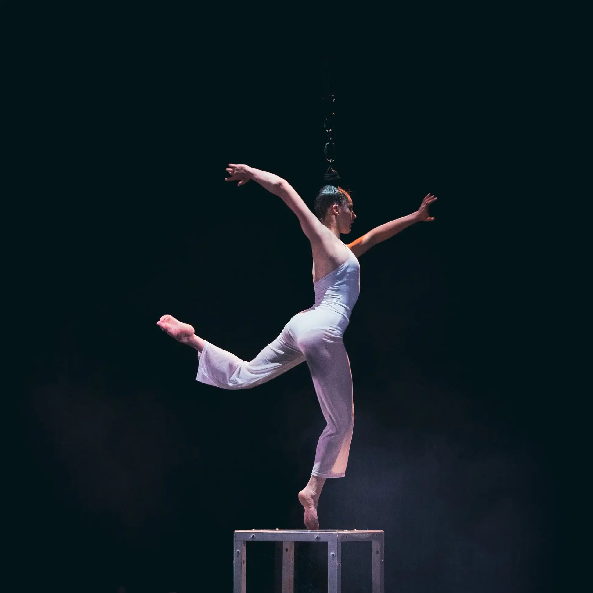 Circus act blends control, contortion