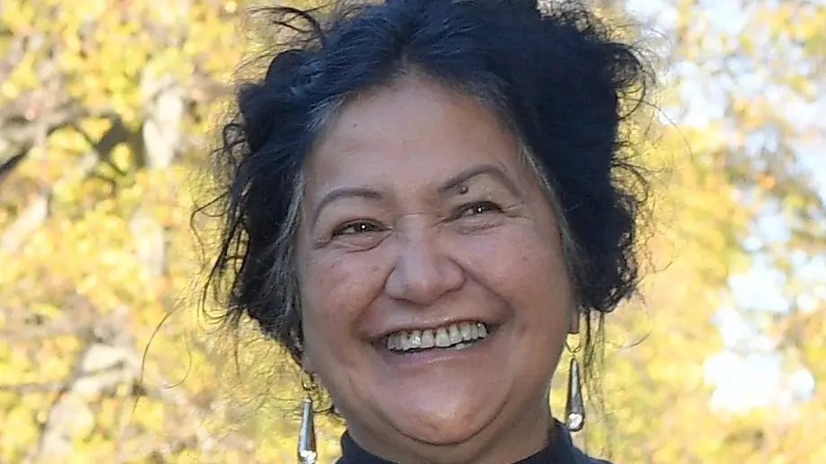 Te Kaika chair takes aim at critics