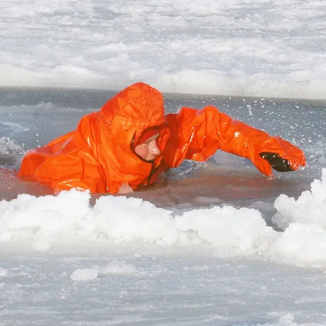 Prince takes plunge in Arctic waters