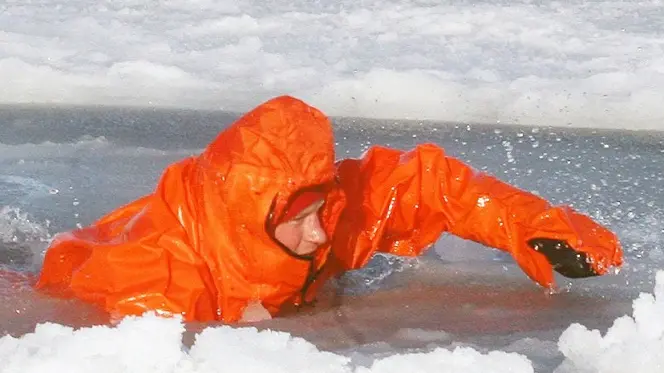 Prince takes plunge in Arctic waters