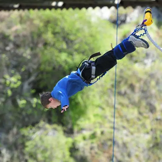 Bungy prices fall