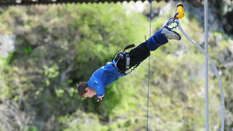 Bungy prices fall