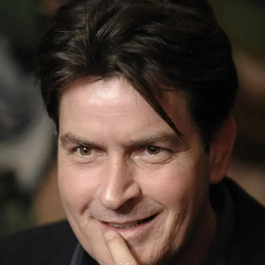 Sheen in court over child custody