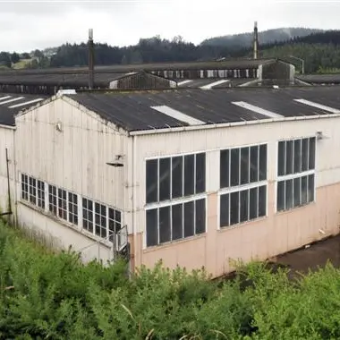Green Island retail plans win support