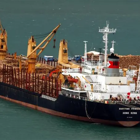 Chinese call for logs stalls