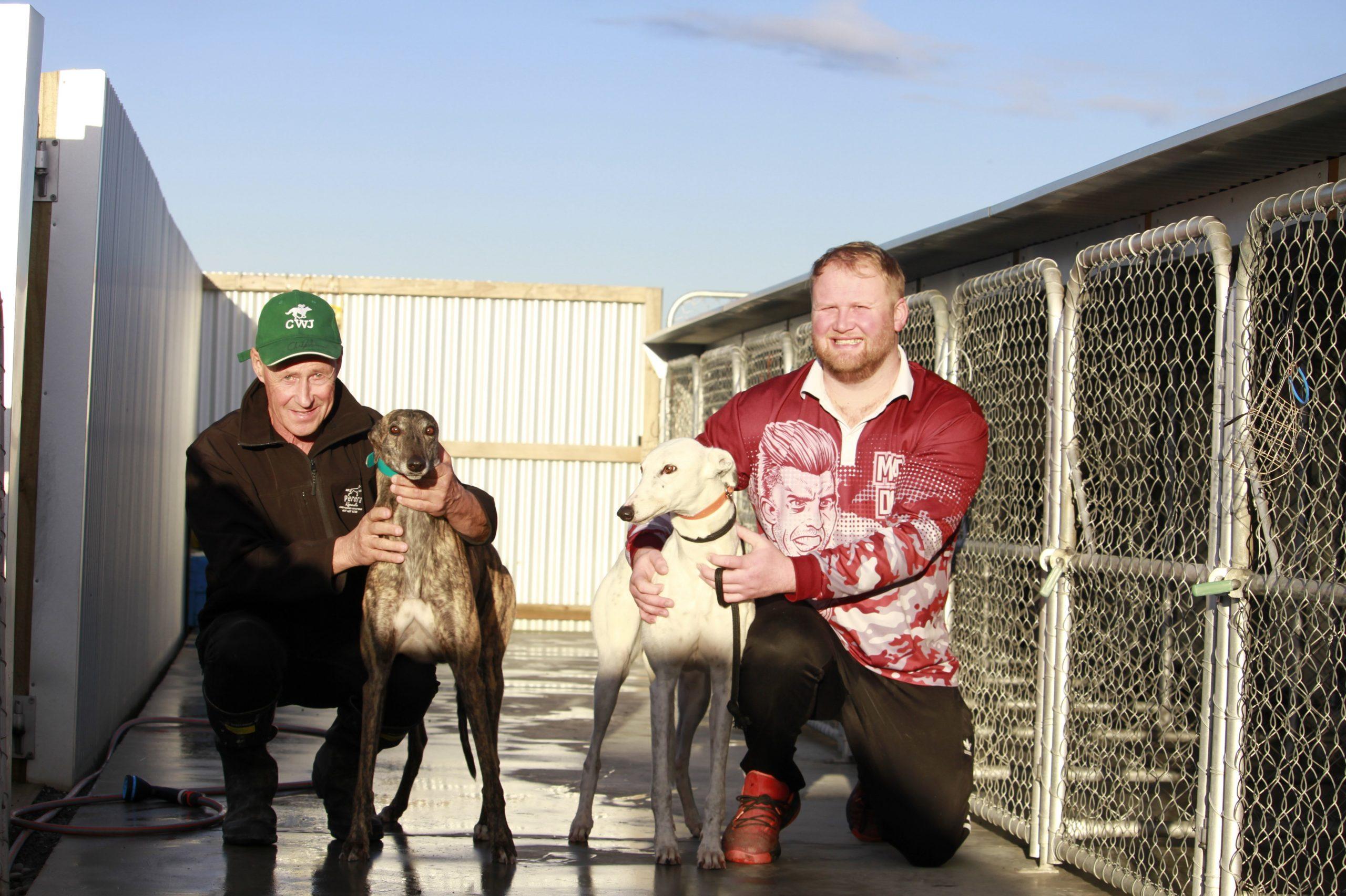'Gutting': Canterbury greyhound trainers prepare to close down
