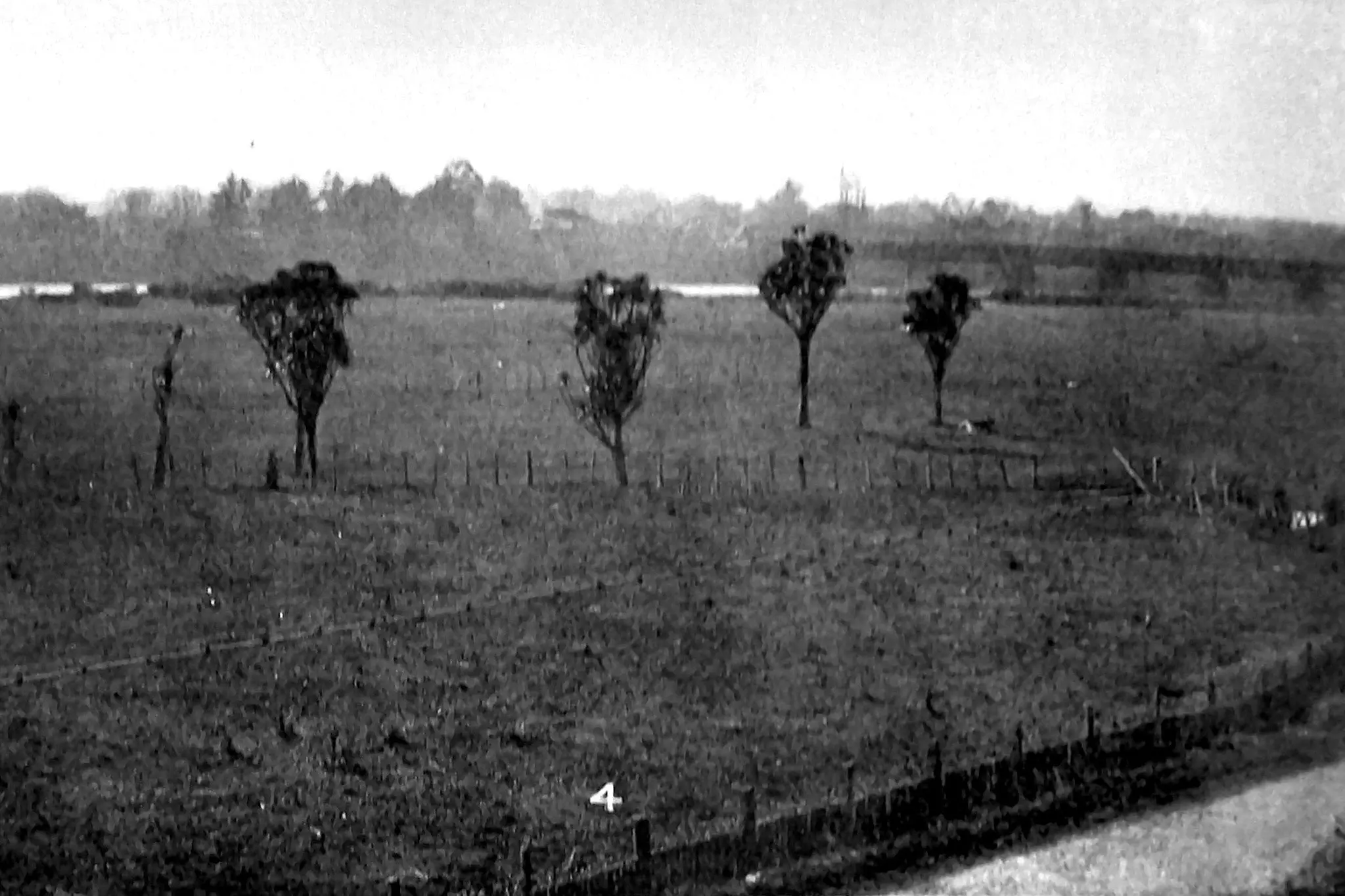 Land purchased from the Batchelor Estate for a new agricultural college outside Palmerston North -- which became Massey University. A view across paddocks towards the Manawatu River and Fitzherbert bridge (right). Photo: Otago Witness, issue 3778, August 10, 1926, page 40