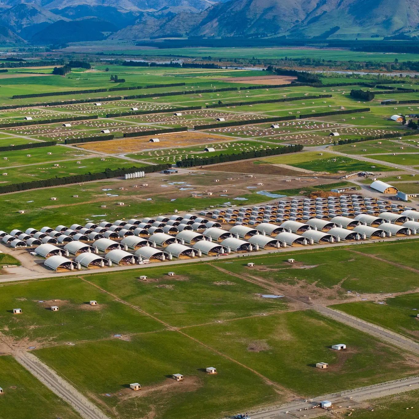 Patoa Farms’ vast pork operation of nearly 100,000 free-farmed pigs under new ownership