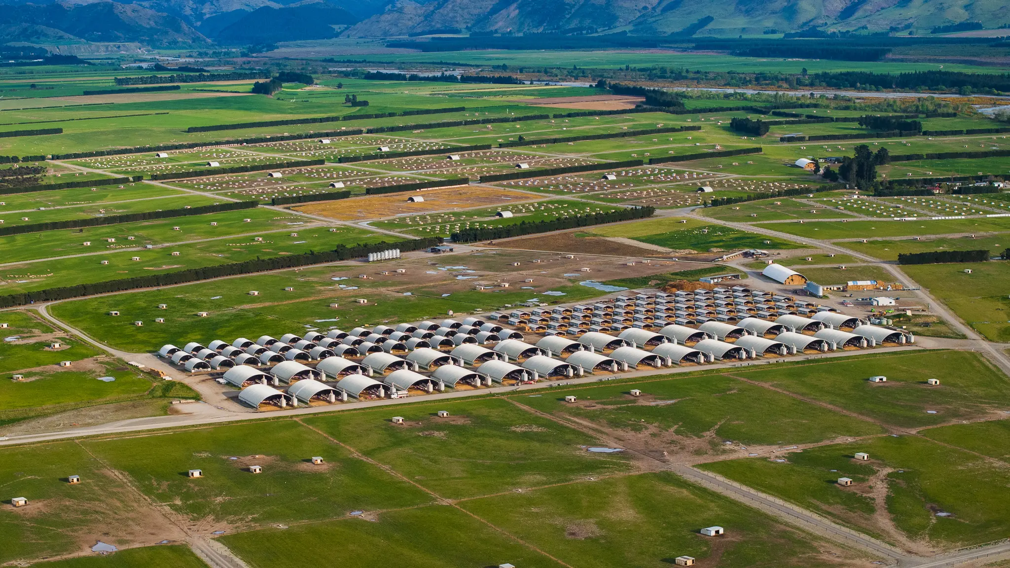 Patoa Farms’ vast pork operation of nearly 100,000 free-farmed pigs under new ownership