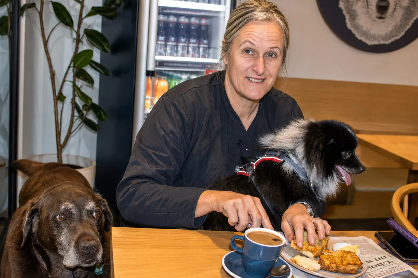Julie Leeper treats her 13-year-old Labrador, Humphrey, and German Spitz, Storm, to a piece of scone during their regular visit to Niche Coffee and Eatery in Sumner. Photo: Geoff Sloan