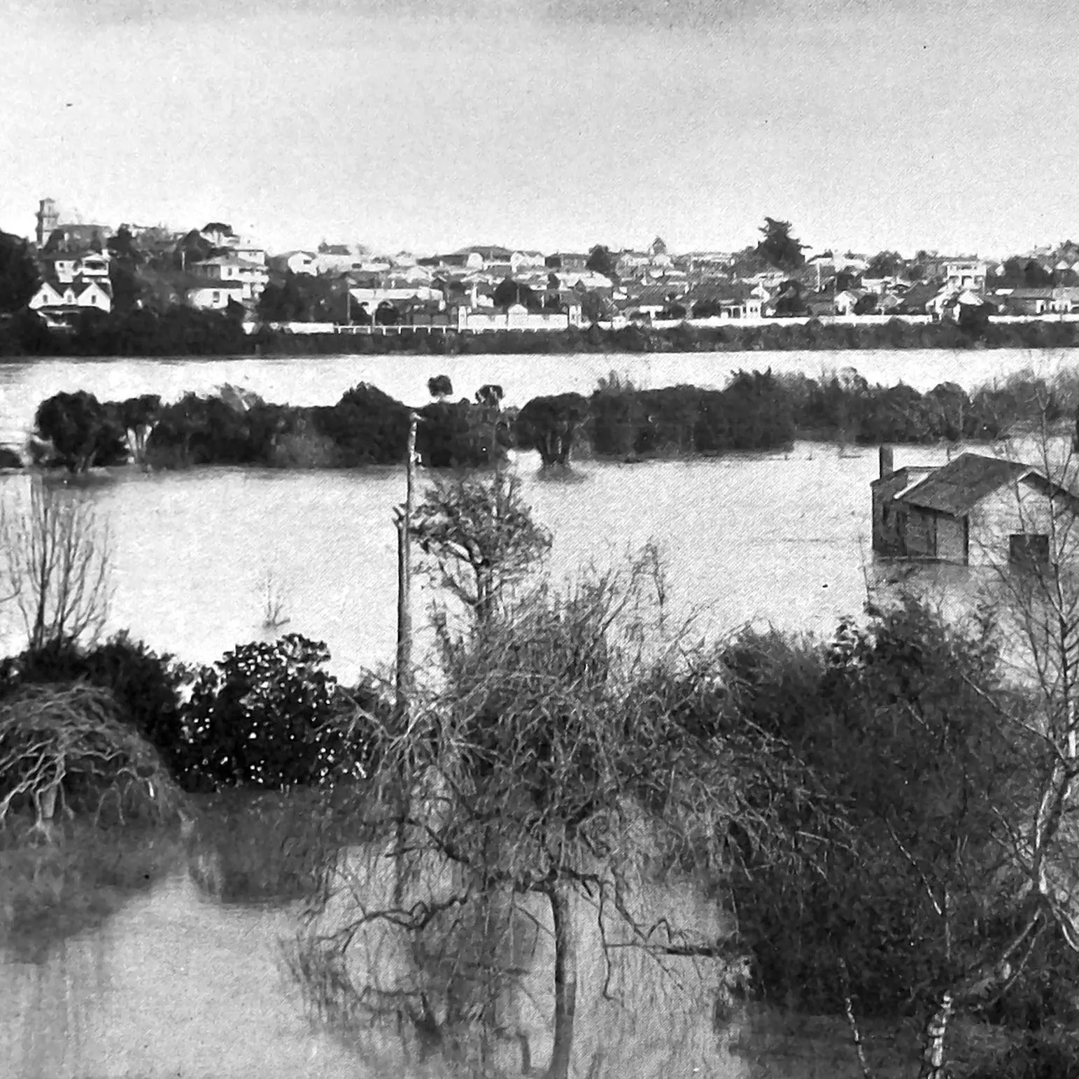 Water, water everywhere