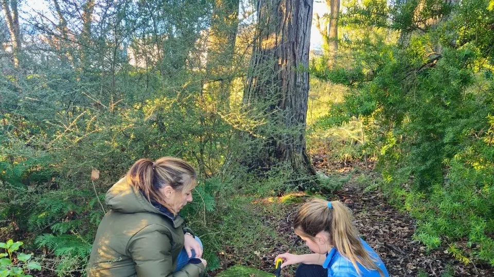 Persistent vandalism of traps undermining conservation work in Hanmer Springs
