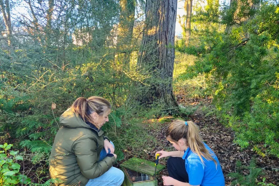 Important conservation work\\u2026 Melanie Roborgh and her daughter Bridie, aged 10,  of Hanmer Springs, monitoring predator traps in the Queen Mary Hospital grounds near the Hanmer Springs Village. PHOTO: MICHELLE SARIC