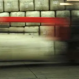 Wool Services to raise capital
