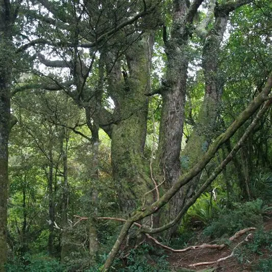 Wild Ways: Not just for the birds