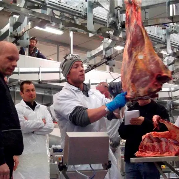 Mataura plant invests in beef