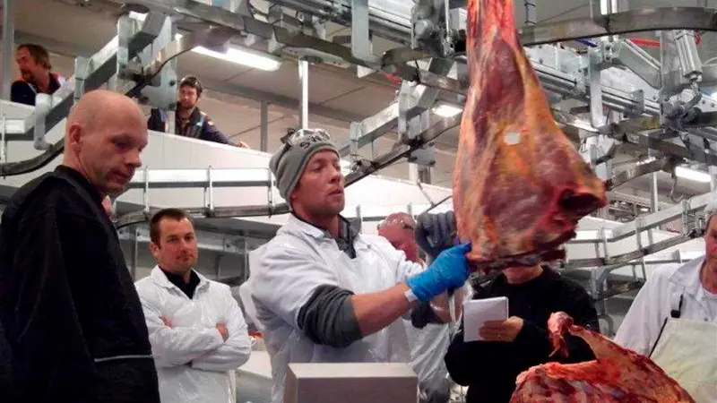 Mataura plant invests in beef