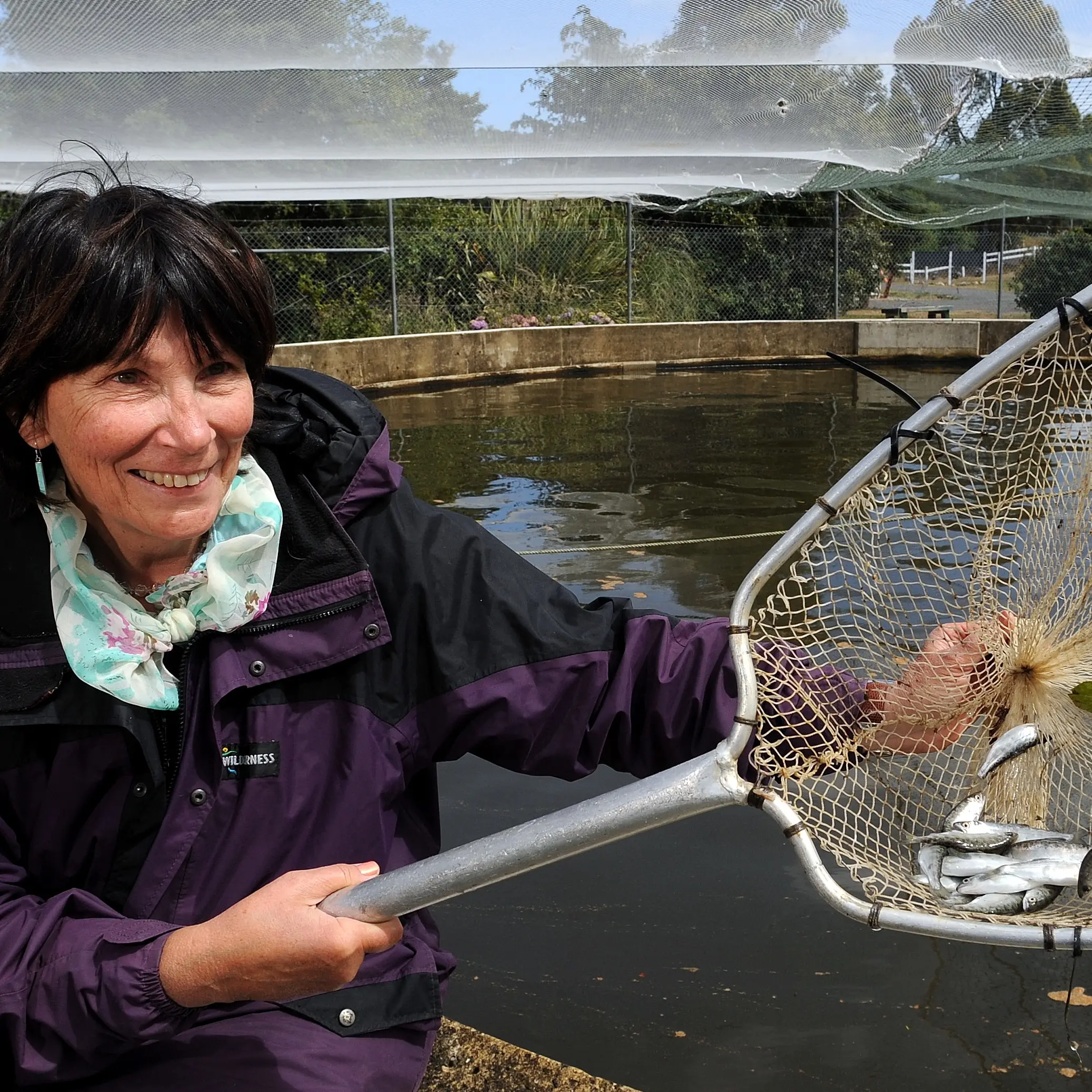 Third smolt release coming up