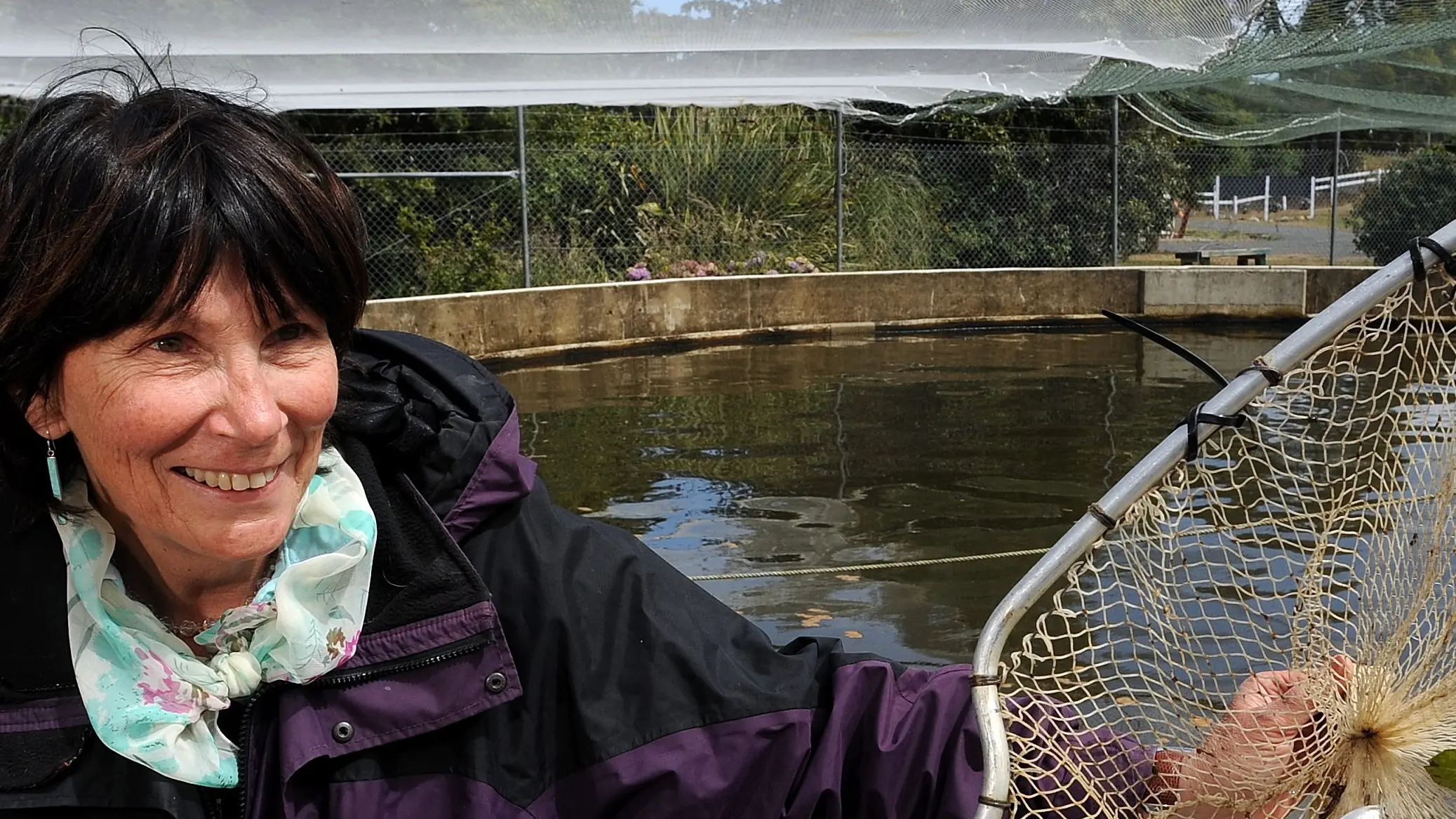 Third smolt release coming up