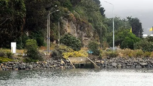 Toxins leach into Otago harbour