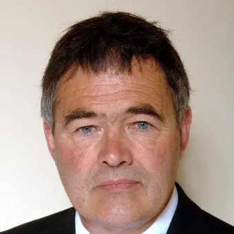 Dunedin 'on cusp' of digital progress