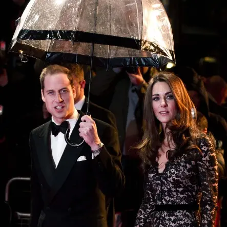 Baby-making plans on hold for royals: reports