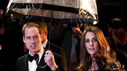 Baby-making plans on hold for royals: reports
