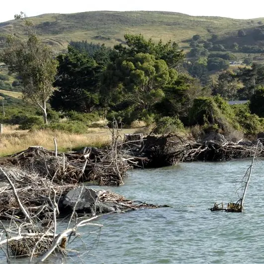 DCC 'not mucking about' on erosion