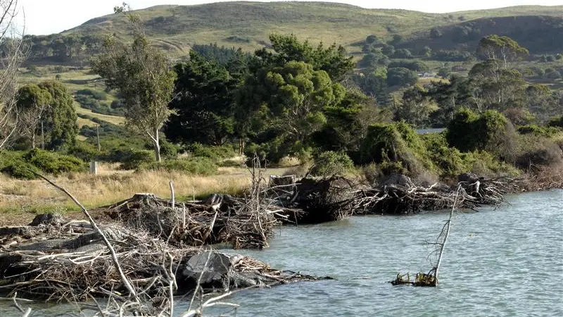 DCC 'not mucking about' on erosion