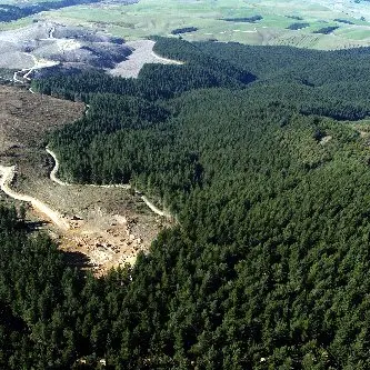 Big versus small battle on forest levy