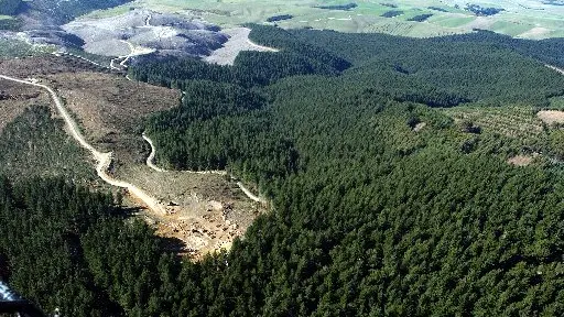 Big versus small battle on forest levy