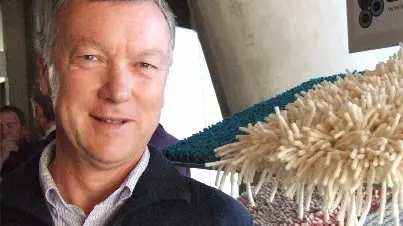Company supplying niche market for custom rugs