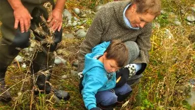 Salmon smolt released