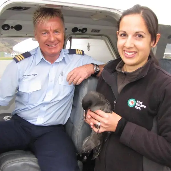 Wayward seabird set back on epic trail